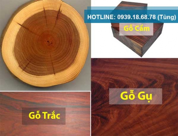 Cách phân biệt các loại gỗ
